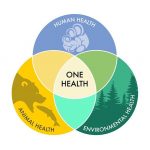Con l’approccio One Health e Planetary Health arriva il Sistema Nazionale Prevenzione Salute dai rischi ambientali e climatici